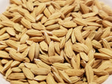 Loto Upland Rice seeds