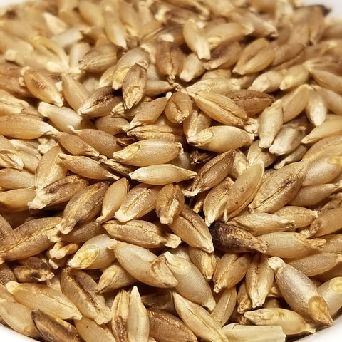 Seeds of Wase Shu Barley