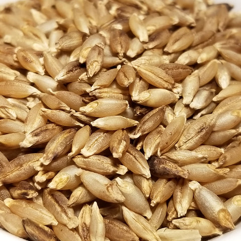 6 Rowed Barley 6-Rowed Barley ~ Great Lakes Staple Seeds