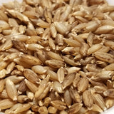 Valsergerste Barley Seeds without Hulls (hulless)