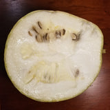 Pastella (Fig Leaf Gourd) Split in Half