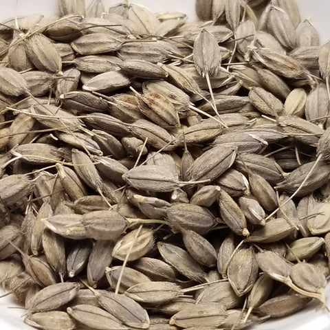 Nigrescens Upland Rice Seeds
