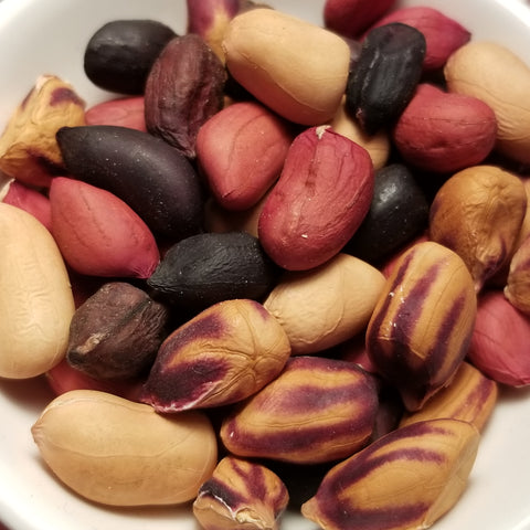 Composite Mix Peanut Seeds