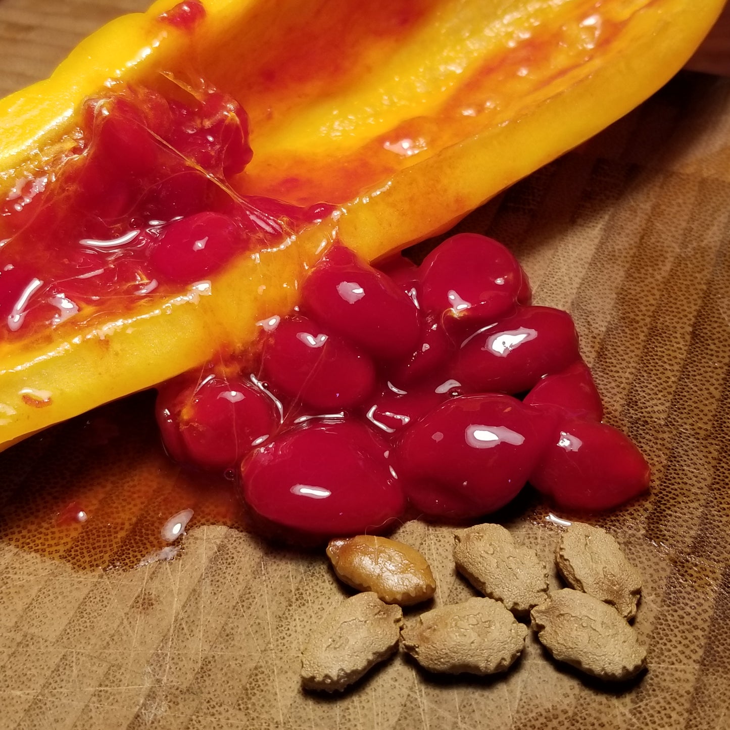 Ampalaya (Bitter Melon) cut to show the bright red jelly with several seeds