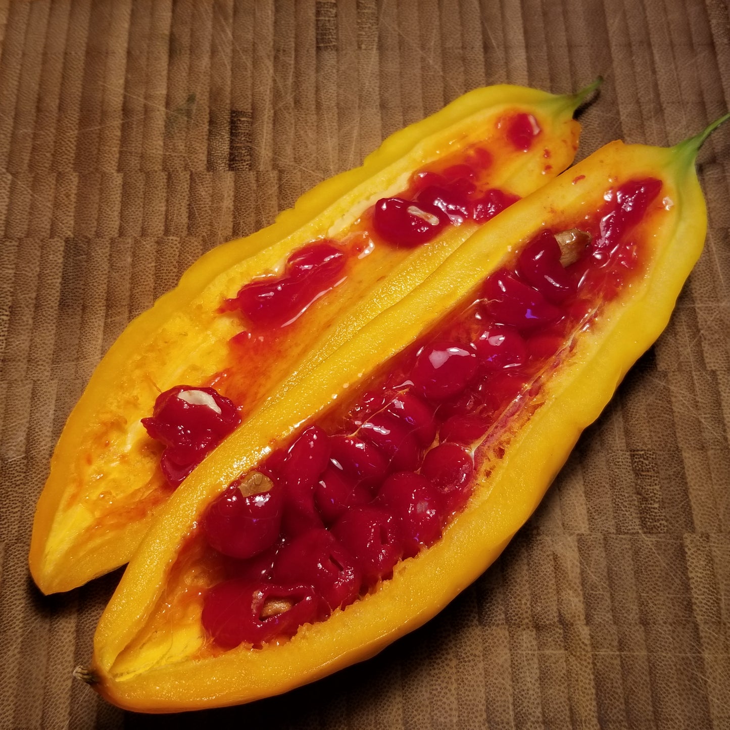 Ampalaya (Bitter Melon) fruit cut in half showing the bright red jelly