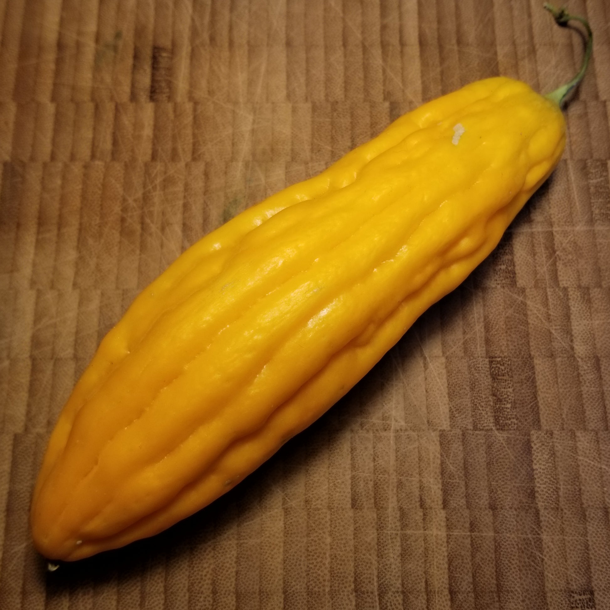 Ampalaya (Bitter Melon)