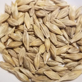 Dutchess Barley seeds