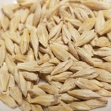 Fimbul Barley seeds