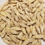 Hudson Barley seeds