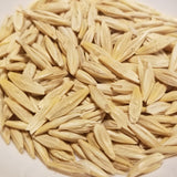 Michigan Winter Barley (seeds)