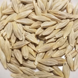Urbanowicki Barley