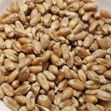 Poltavka Wheat (seeds)