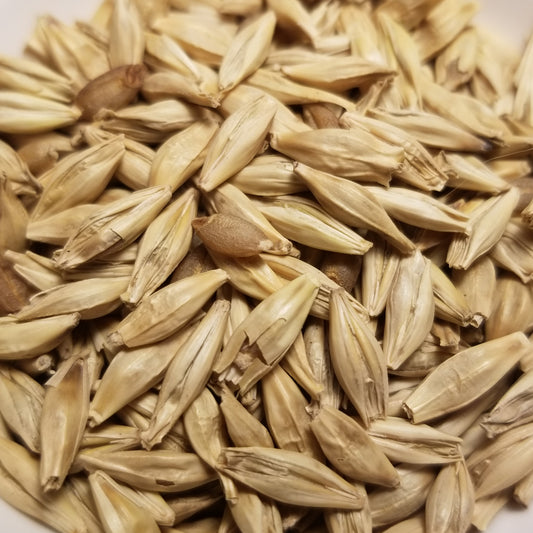 Australian Bald Skinless Barley
