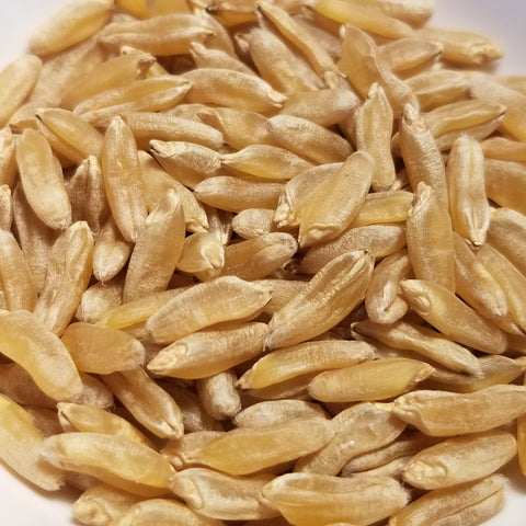 Hourani Wheat seeds