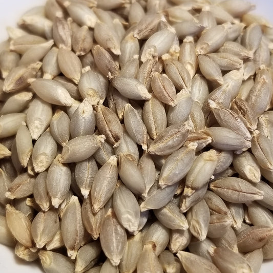 Naked Food Barley 111-621