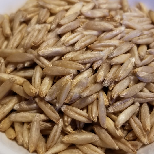 Vicar Hull-less Oats (naked seeds)