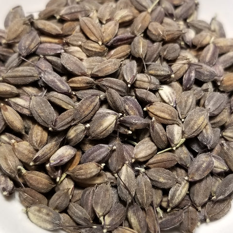Mizukuchiine Rice seeds