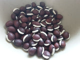 The medium sized dry seeds of India Bush Hyacinth Bean - red-brown ovals withtheir fat white hilums characteristic of hycacinth bean seeds.