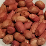 Canadian Maritime Valencia Peanut seeds