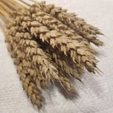 Monon Wheat