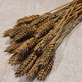 Sandomierka Club Wheat decorative ornamental