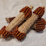 Floriani Red Flint Corn showing the kernels from the Tips and Butts ends of the cobs