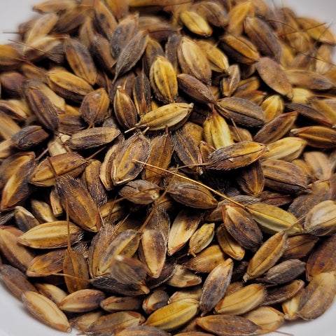 Amaura Upland Rice seeds