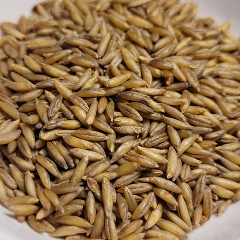Kleiner Nackthafer Hull-less Oats (small naked oats seeds)