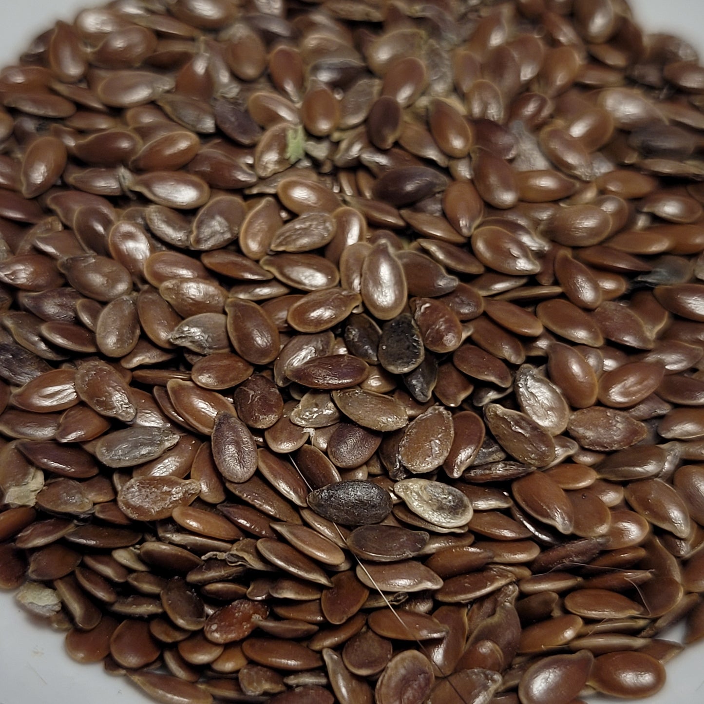 Marilyn flax seeds