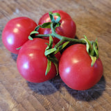 Trèfle du Togo Tomato cluster of fruit