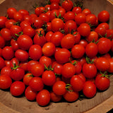 Napoli a Fiaschetto Tomato (packet name, not representative)