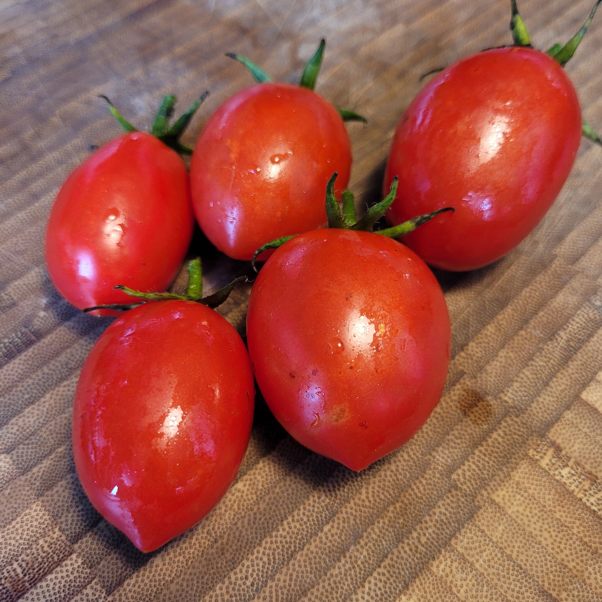 Napoli a Fiaschetto Tomato with characteristic pointed tip
