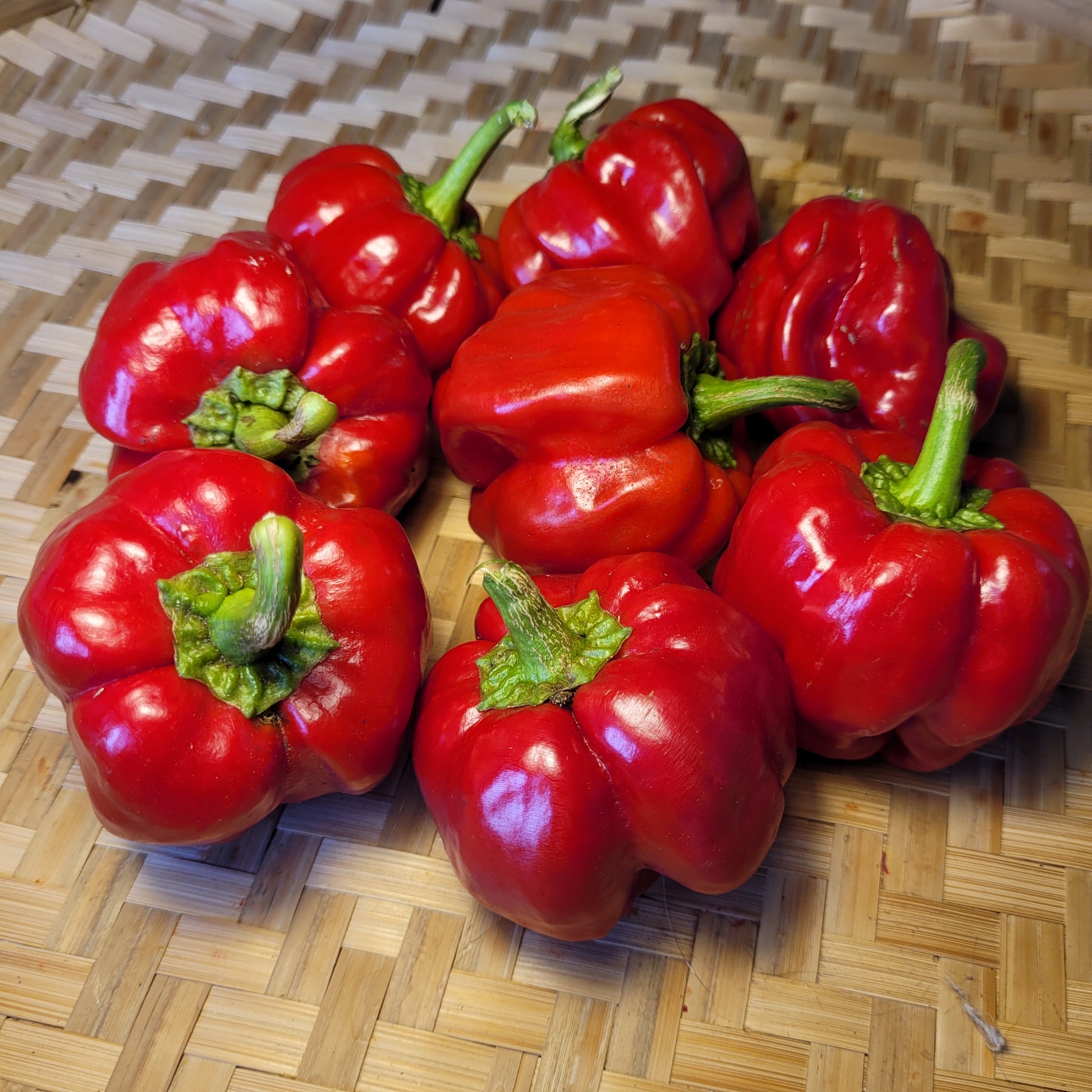 Ampuis Sweet Pepper