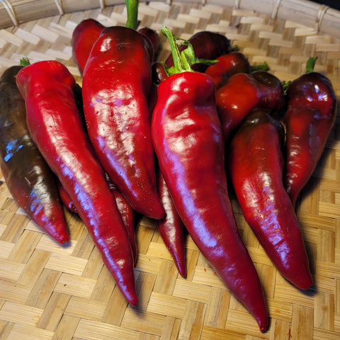 Kalocsai Merevszaru Pepper