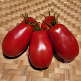 Vera's Tomato
