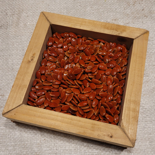 seeds of D’Espagne a Confiture Citron Melon