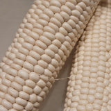 Landrace White Kernel Parching Corn