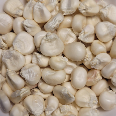 White Parching Corn seeds kernels
