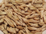 Robust Barley seeds