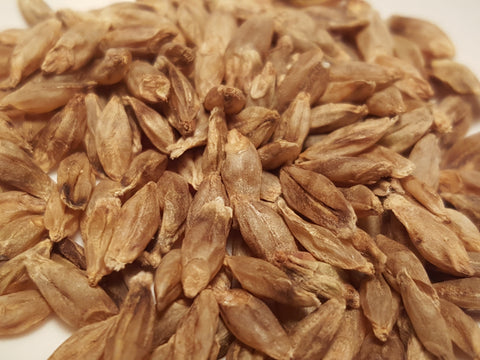 Naked Food Barley 112-470 seeds