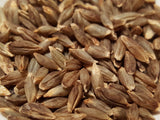 Naked Food Barley 108-414 seeds