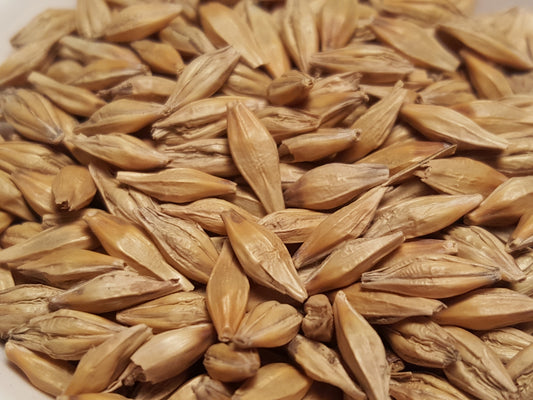 Full Pint barley seeds