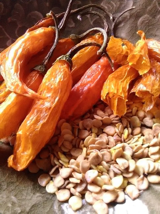 (C. baccatum); Heirloom; Aji type; Blossom-bagged; Salsa; Cirolla Sella; Bolivia