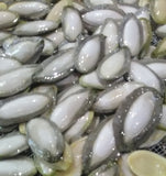 Freshly harvested silver-edged edible Pipian from Tuxpan squash seeds
