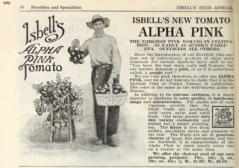 Isbell's Alpha Pink Tomato listing in Jackson Michigan's S.M. Isbell 1916 Seed Annual