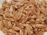Milagre wheat seeds