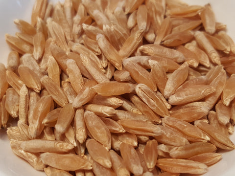 Mirabella wheat seed