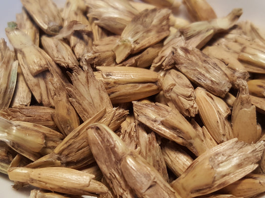 Spring Dinkel seeds