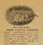 West India Gherkin