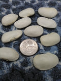 dry Gigante Beans (aka Greek Elephant Bean, Gigandes Bean) with a US Quarter coin for scale